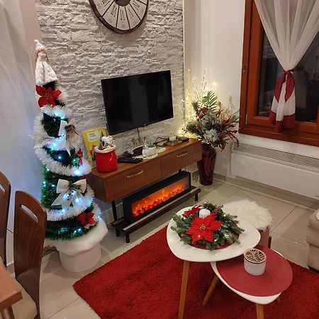 Vesna Apartman Vrnjacka Banja Luaran gambar